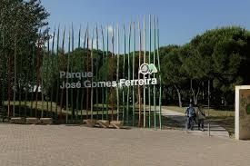 José gomes ferreira filho é brasiliense, empresário e político. File Parque Jose Gomes Ferreira 2014 06 08 Jpg Wikimedia Commons