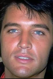 Why am I having problems with the new dlc mission in theHunter: Call of the  Wild?