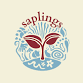 Saplings: A Nature-Focused Pre-K Experience! event in Grand Rapids, MI