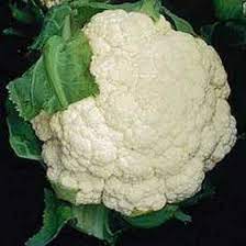 Place about 4 cauliflower seeds in the middle of each pot. Growing Cauliflower How To Grow Cauliflower Allotment Gardens