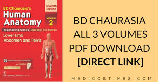 This muscular system picture shows all the major muscle groups on the human body from the frontal view. Bd Chaurasia Human Anatomy Pdf Free Download All Volumes Medicos Times
