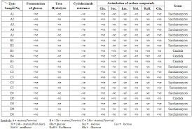 isolation and identification of yeasts from the different