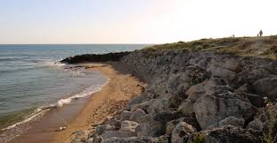 Un Hotel Les Pieds Dans L Eau Sur L Ile D Oleron Guide De Charente Maritime