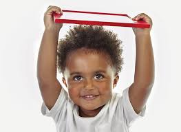 Illinois Model for IECMHC 2022