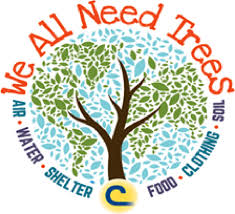 Image result for importance of trees