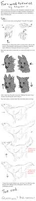 Wind And Fur Tutorial By Tuliplou On Deviantart Drawing Tutorial Animal Drawings Art Tutorials