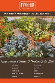 Hydroponics gardening is the easy way to grow indoors. Buy Non Gmo Heirloom Organic Garden Seeds Organic Seeds Garden Seeds Veggie Garden