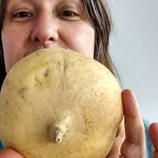 Frutas y Verduras Mexico