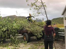 Noen trenger elektrisk bil på grunn av urbaniseringen, fortettingen av mennesker i byer og . Damer Med Motorsag Og Ryddesag Pa Kvinner I Skogbruket Facebook