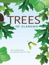 Eastern hophornbeam (ostrya virginiana, autumn treasure) or american hornbeam (carpinus caroliniana) or eastern redbud (cercis candensis) or american smoketree (cotinus obovatus) 8 hybrid elms 6 thornless honey locust (gleditsia triacanthos 'imperial', 'inermis') 8 sugar maple (acer saccharin 'goldenspire') or Read Trees Of Alabama Online By Lisa J Samuelson And Michael E Hogan Books