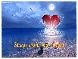 We did not find results for: Sweet Dreams My Love Quotes Quotesgram