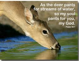 As The Deer Panteth For The Water So My Soul Longeth After You You Alone Are My Hearts Desire And I Long To Worship Thee Psalms Psalm 42 Scripture Pictures