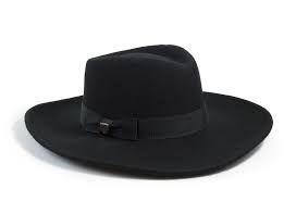 Broadbrim Definition And Meaning Collins English Dictionary