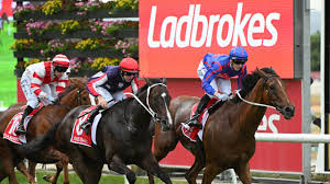 Nayara assuncao conteudo adulto