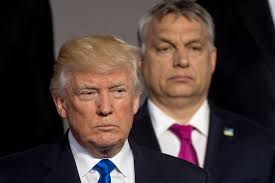 Karen Langsam (@langsam-karen.bsky.social) — Bluesky