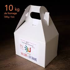 Fromage A Poutine Ou Halloumi Maison Idee Cadeau Quebec Idee Cadeau Quebec Cheese Making Kit How To Make Cheese Cheese Curds