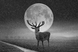 The next full moon is the buck moon the probe flew closer to jupiter's largest moon, ganymede, than any other spacecraft in more than two decades. Horoscopes 2019 How The Buck Moon Could Affect Your Life Lifestyle World News
