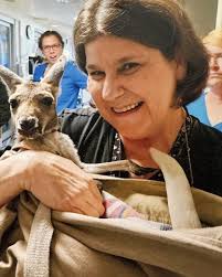 Christy Sue Cummings Lincoln Obituary December 2, 2024