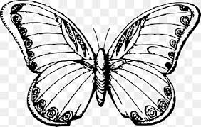 Diy watercolor art inspired by your favorite artist. Simple Butterfly Black And White Png Images Pngwing