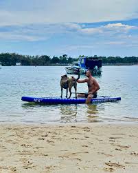 Pietro Amore (@pietro_amore) • Instagram photos and videos