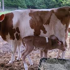 Sdn. Daniel Rudder (@crosscrafter) • Instagram photos and videos