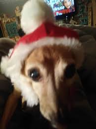 Harold Cope (1922-1995)