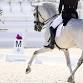 World Equestrian Center – Ocala November Dressage