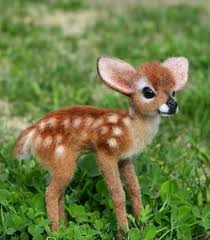 Photographer Play Karaca Marvelousplaces Muhtesemyerler Marvel Pics Marvelous Shots M Cute Wild Animals Baby Animals Super Cute Baby Animals Funny
