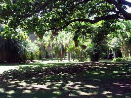Foster Botanical Garden Honolulu A Nice Quiet Place Place To Relax When You Re All Beached Out And Tired Of The Waikiki S Botanical Gardens Botanical Garden
