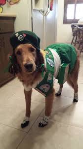 30 Amazing Pet Halloween Costume Ideas Pet Halloween Costumes Dog Halloween Halloween Animals