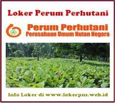 Dan staff hrd juga pasti punya jam. Lowongan Kerja Perum Perhutani 2021 2022 Untuk Slta D3 S1 Kerja Dan Usaha 2021 2022
