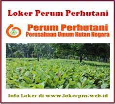 Info loker pertanian yang selalu update. Lowongan Kerja Perum Perhutani 2021 2022 Untuk Slta D3 S1 Kerja Dan Usaha 2021 2022