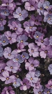 See more ideas about purple aesthetic, purple wallpaper, lavender aesthetic. 750 Purple Aesthetic Pictures Download Free Images On Unsplash