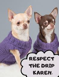 An element of a culture or system of behavior that may be considered to be passed. Respect The Drip Karen Funny Chihuahuas 7 5 X 9 5 Funny Lined Notebook Journal Diary For Teens Tweens Meme Lovers And Dog Lovers Publishing Diamond A L 9798610291864 Amazon Com Books