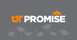 Frequently Asked Questions Ut Promise