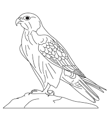 Because you get to enjoy the piece on your choice of paper/material/colour, you don't have to pay… 10 Printable Falcon Coloring Pages For Toddlers