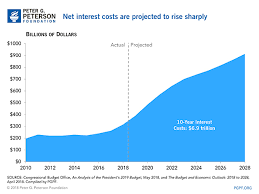 What Is The National Debt Costing Us