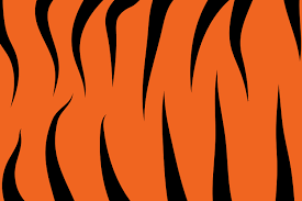 Tiger stripes on orange background. - Free Vector Illustration on Unsplash