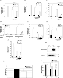 Protein atlas for normal tissues—the publicly available fig. Pdzk1 Interacting Protein 1 Pdzk1ip1 Traps Smad4 Protein And Suppresses Transforming Growth Factor B Tgf B Signaling Journal Of Biological Chemistry