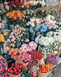 Check spelling or type a new query. Pin By Filipa Delgado On Jus Pretty Pretty Flowers Flower Aesthetic Beautiful Flowers