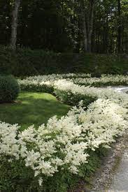 We did not find results for: New England Garden Notebook Forget Me Nots And Other Things I Forgot Beautiful Gardens Dream Garden White Gardens