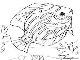 Giraffe and basket ball animal s793b. Realistic Sea Animal Coloring Pages Printable