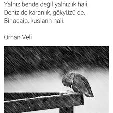 Nazim Hikmet Ran On Instagram Siirsokakta Siir Sair Kutuphane Yazar Edebiyat Roman Felsefe Selam Hayatakarken Ist Instagra Romanlar Instagram Siir