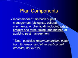 Control methodsbiological pest control.cultural control.trap cropping.pesticides.physical pest control.poisoned bait.fumigation.sterilization.more items…. Ppt Core 4 Pest Management Powerpoint Presentation Free Download Id 3255945