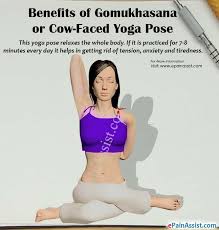 Pin On Yoga Information Center