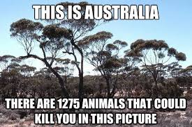 On Nature 29 Of The Funniest Memes About Australia Australia Funny Funny Memes About Life Australian Memes