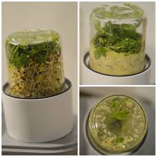 Vg Tables Fr Alimentation Les Super Aliments Cuisine Detox