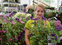 Gartencenter Matthies Alles Fur Ihren Garten