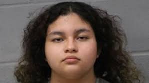 Austin teen charged with terroristic threat against elementary school
