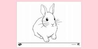Peter rabbit stealing carrots coloring page free printable. Free Peter Rabbit Colouring In Pictures Primary Resources